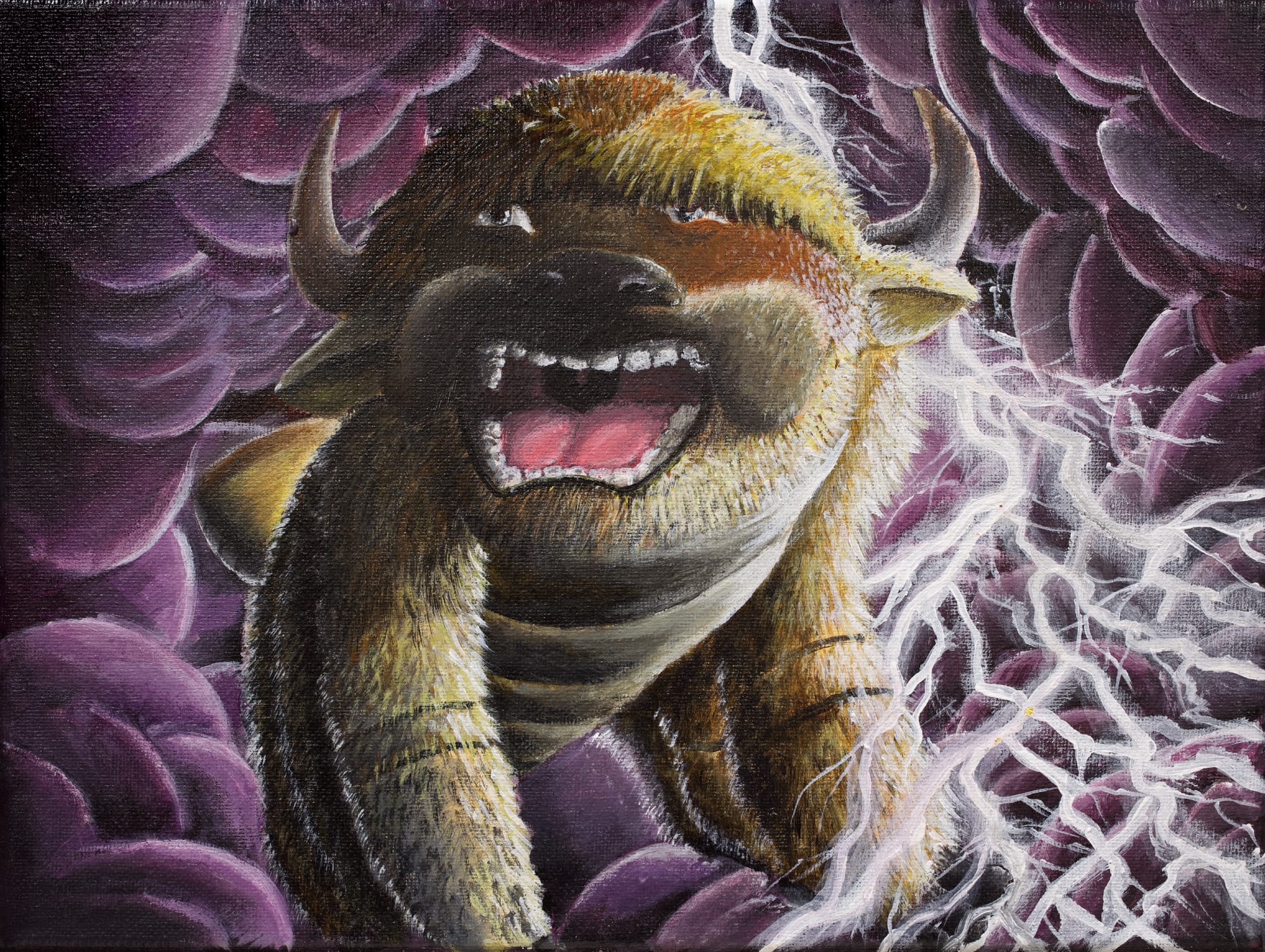 Appa by Justin Mitchell